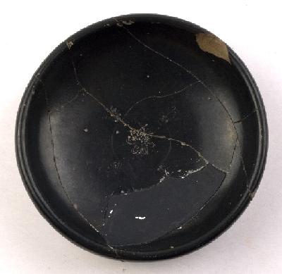 Marian Venceslá Delgado (CERES)